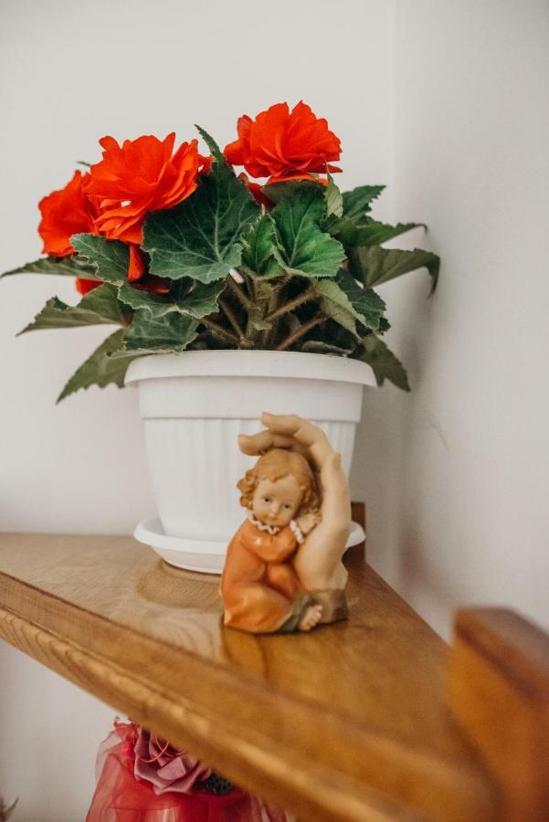 Apartman JOKA Ðakovo Bagian luar foto