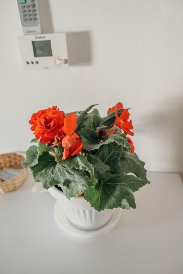 Apartman JOKA Ðakovo Bagian luar foto