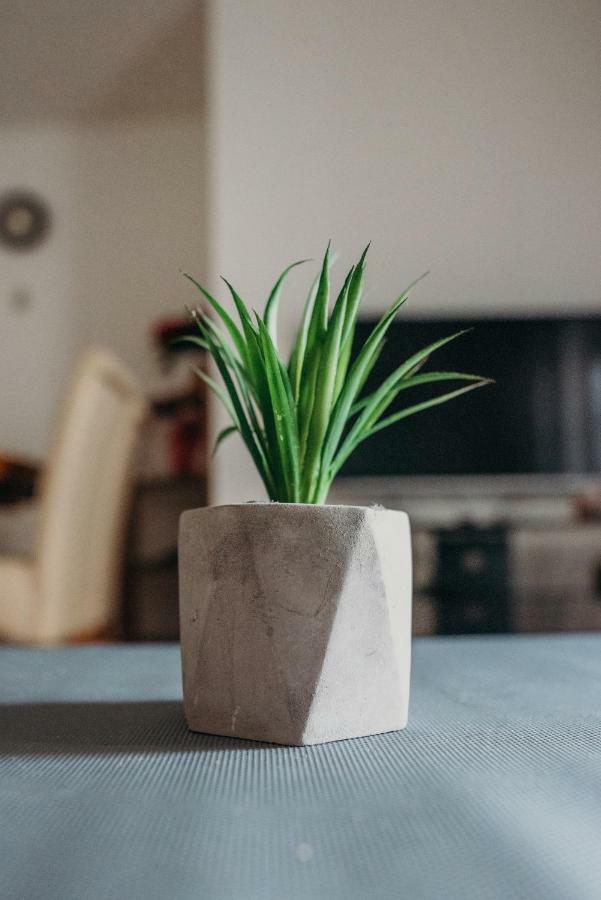 Apartman JOKA Ðakovo Bagian luar foto