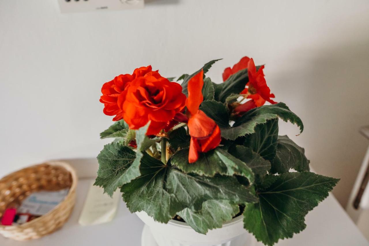 Apartman JOKA Ðakovo Bagian luar foto